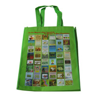 自贡LB11覆膜无纺布广告袋